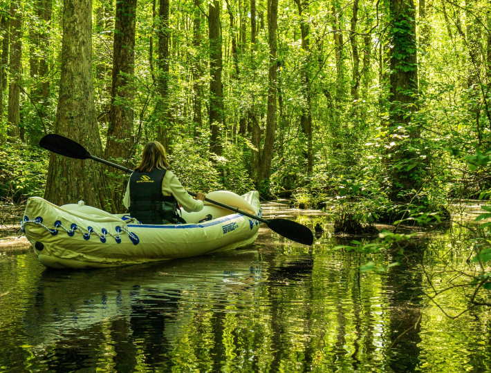 The Dos and Don'ts of Kayaking for Beginners