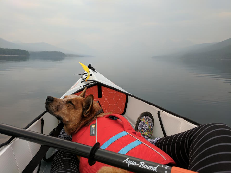 How to Kayak With a Dog